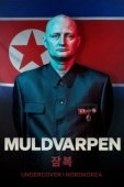 Постер Крот: Под прикрытием в Северной Корее (2020)