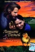 Постер Летите домой (1996)