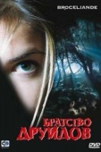 Постер Братство друидов (2003)