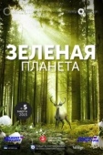 Постер Зелёная планета (2012)