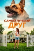 Постер Самый лучший друг (2018)