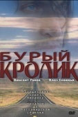 Постер Бурый кролик (2003)