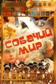 Постер Собачий мир (1962)