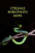 Постер Спецназ животного мира (2018)