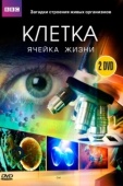 Постер BBC: Клетка (2009)