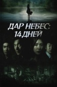 Постер Дар небес: 14 дней (2014)