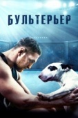 Постер Бультерьер (2022)