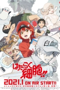 Постер Работа клеток (Hataraku Saibou!!)