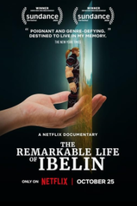 Постер Ibelin: Невероятная жизнь геймера (Ibelin)