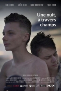 Постер Однажды ночью через поля (Une nuit, à travers champs)