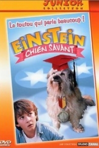 Постер Завтрак с Эйнштейном (Breakfast with Einstein)