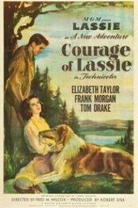 Постер Храбрость Лэсси (Courage of Lassie)