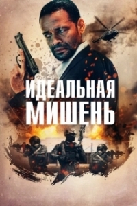 Постер Точный выстрел (A Clear Shot)
