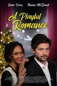 Постер Звездное рождество (A Playful Romance)