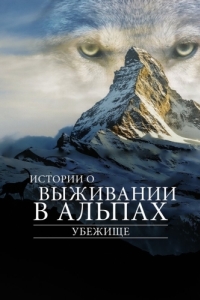 Постер Убежище. Истории о выживании в Альпах (Le plus beau pays du monde 3)