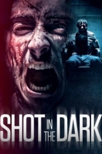 Постер Выстрел в темноте (Shot in the Dark)
