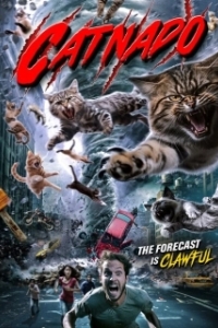 Постер Кошачий торнадо (Catnado)