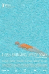 Постер Рыба, плавающая брюхом вверх (Ein Fisch, der auf dem Rücken schwimmt)