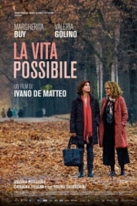 Постер Жизнь возможна (La vita possibile)