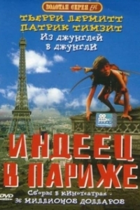 Постер Индеец в Париже (Un indien dans la ville)