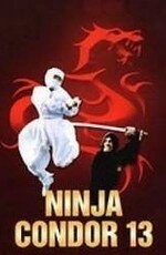 Постер Ниндзя-стервятник (Ninjas, Condors 13)
