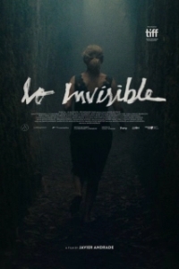 Постер Невидимая (Lo invisible)