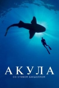 Постер Акула со Стивом Бакшоллом (Shark with Steve Backshall)