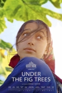 Постер Под фиговыми деревьями (Under the fig trees)