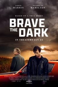 Постер Одолевая тьму (Brave the Dark)