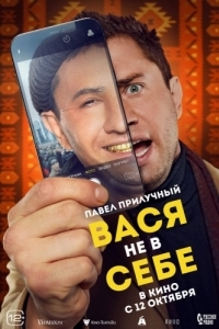 Постер Вася не в себе 