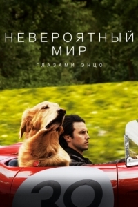 Постер Невероятный мир глазами Энцо (The Art of Racing in the Rain)