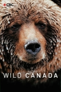 Постер Дикая Канада (Wild Canada)