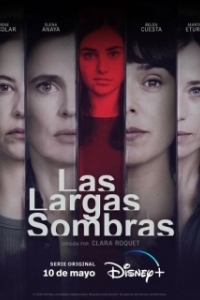 Постер Прошлая ложь (Las largas sombras)