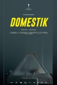 Постер Домашний режим (Domestik)