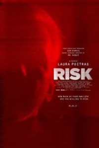 Постер Риск (Risk)
