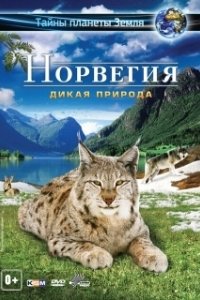 Постер Норвегия 3D: Дикая природа (Norway 3D)