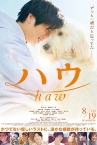 Постер Гав (Haw)