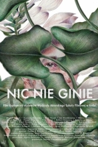 Постер Ничего не потеряно (Nic nie ginie)