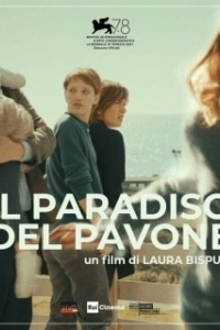 Постер Павлиний рай (Il paradiso del pavone)
