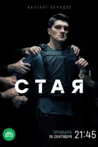 Постер Стая (Стая)